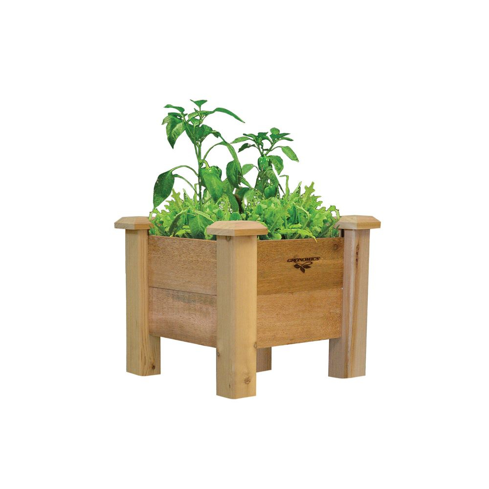 Algreen Products Ergogarden Deck Box And Elevated Planter 32003 Xmas regarding proportions 1000 X 1000