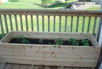 Vegetable Garden On The Deck You Bet My Northern Garden intended for sizing 2592 X 1944