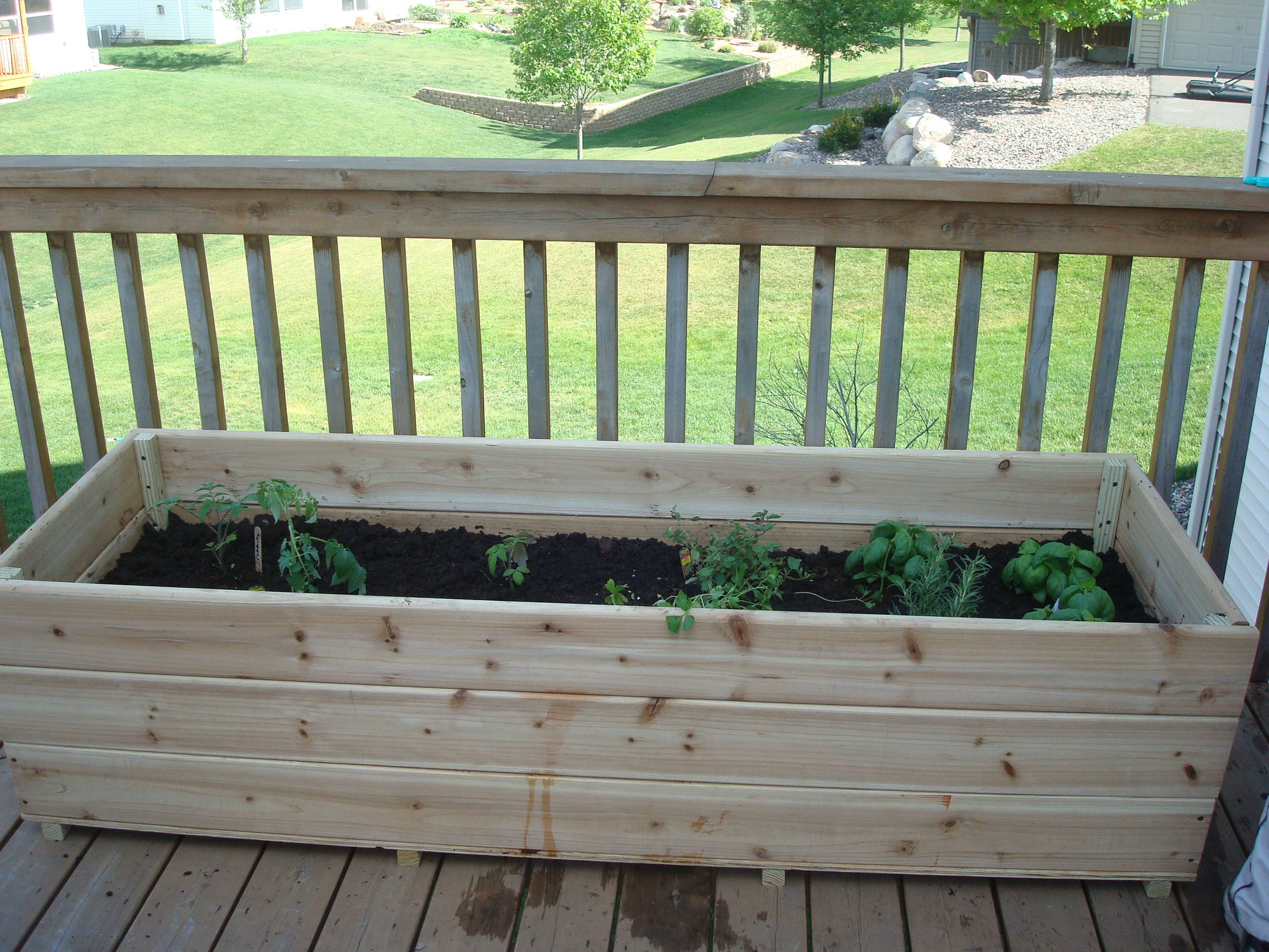 Vegetable Garden On The Deck You Bet My Northern Garden intended for sizing 2592 X 1944