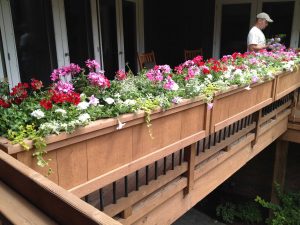 Window Boxes For Deck Railing Decks Ideas in sizing 3264 X 2448