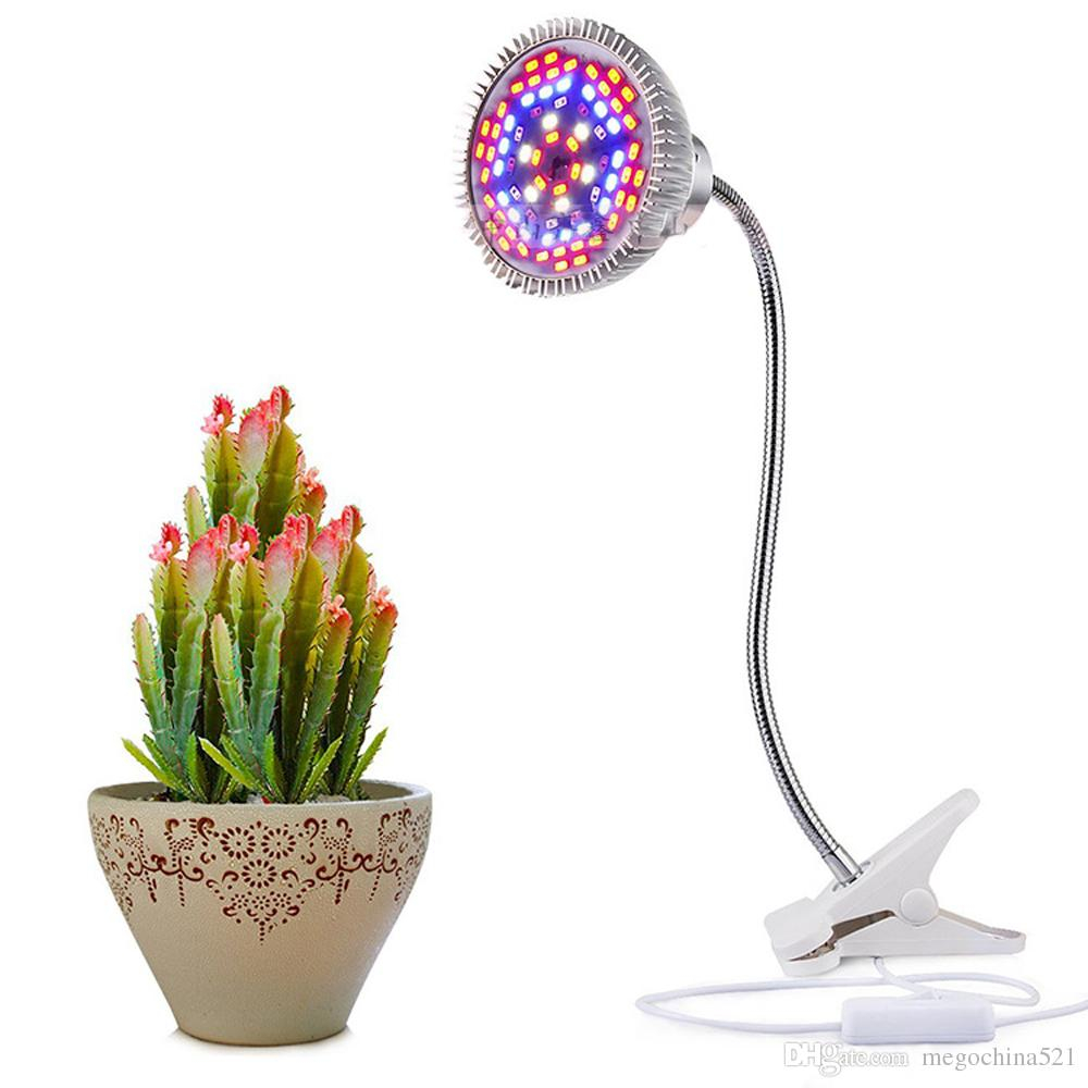 10w Grow Light Led Desk Lamp Bulb Plant Growing Lights With 360 Degree Clip Flexible Gooseneck Clamp For Indoor Plants regarding proportions 1000 X 1000