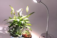 10w Led Full Spectrum Plant Grow Lampplant Lightgrow Light with dimensions 1000 X 1000