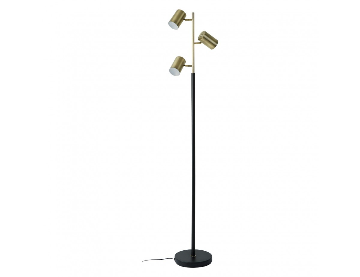 Hadley Brushed Brass And Matt Black 3 Head Metal Led Floor Lamp inside size 1200 X 925