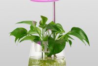 Plant Desk Lamp Led Grow Lights For Indoor Plants Grow inside size 1500 X 1500