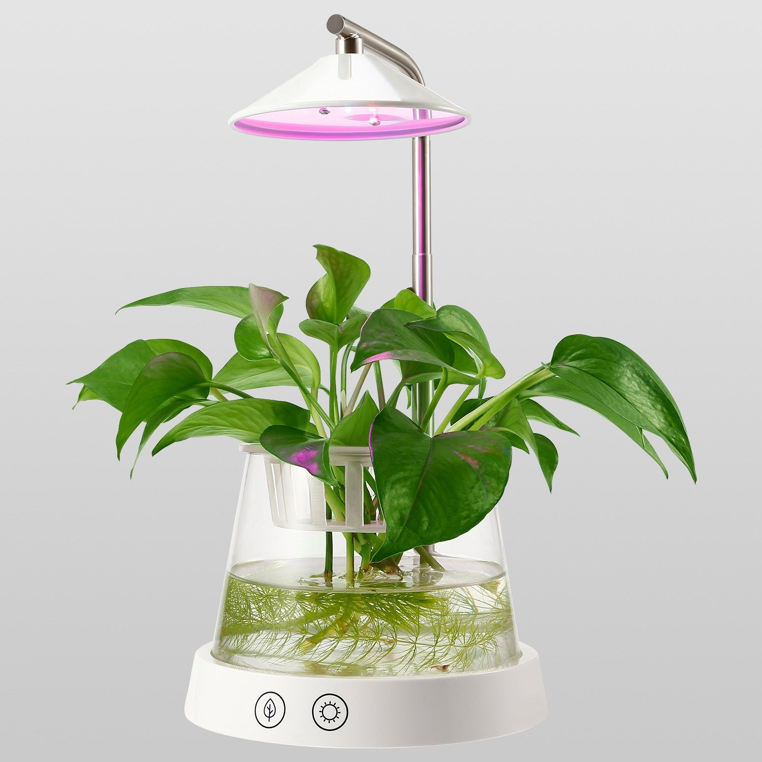 Plant Desk Lamp Led Grow Lights For Indoor Plants Grow with dimensions 1500 X 1500