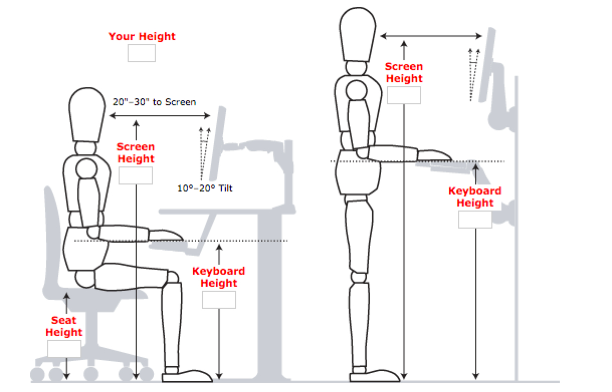 Productivity And Ergonomics The Best Way To Organize Your Desk with dimensions 1218 X 782