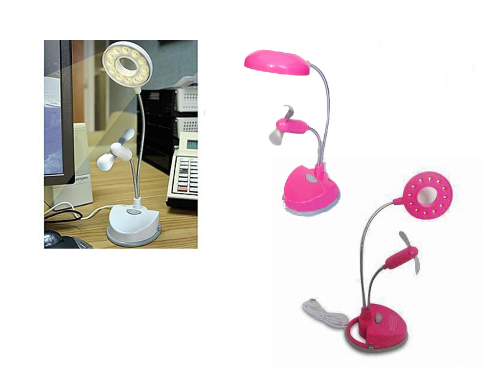 Usb Desk Lamp And Fan With 12 Leds Rose in size 1024 X 768